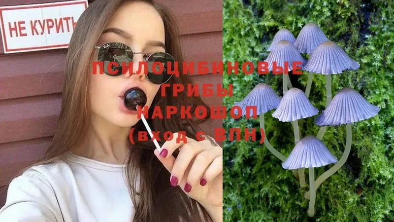 omg рабочий сайт  Нестеровская  Псилоцибиновые грибы MAGIC MUSHROOMS  как найти наркотики 